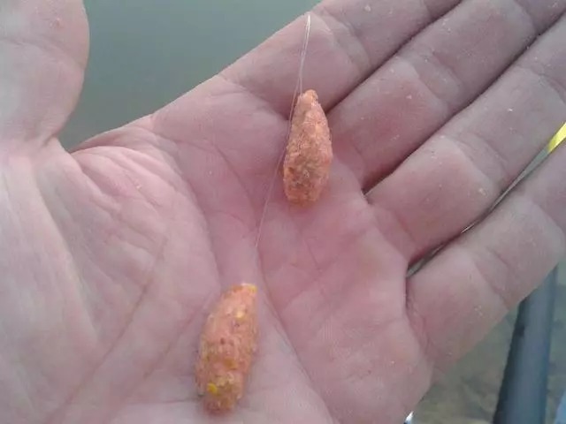 冬季鱼口轻?5个老钓手的实战经验教你保证渔获