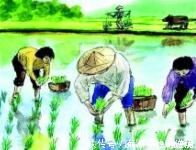 孩童|宋代大家杨万里,写出一首诗,把小孩的活泼可爱写的淋淋尽致