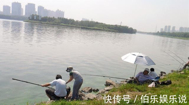 铧尖处|炎炎夏日应该怎么钓鱼老钓鱼人传授你三招,不收藏太亏了