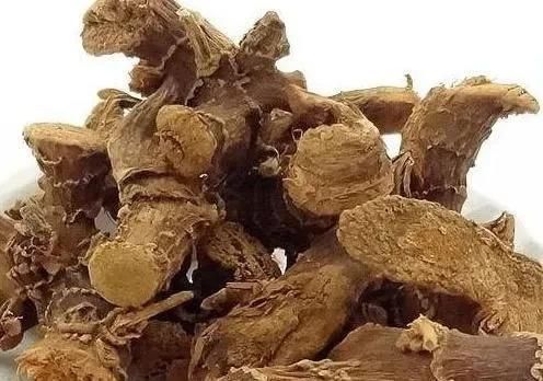 冬天|大厨朋友教我这样炖肉，只要放“这2种”香料，不管啥肉越炖越香
