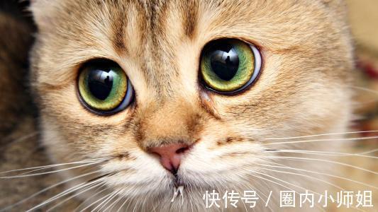 |幽默笑话:老板请我们所有部门经理去吃饭,我有点事情去晚了