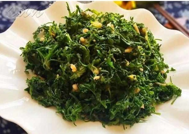 野草|农村有种野草,煮鸡蛋吃了治头晕,还是驱蚊虫好帮手,网友不错