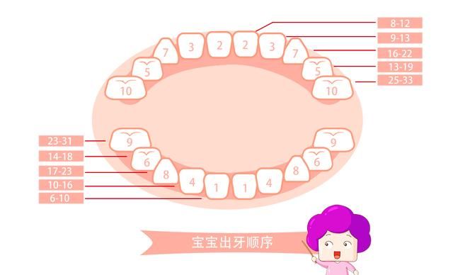 抗生素|1岁宝宝的10大谣言爸妈要注意了