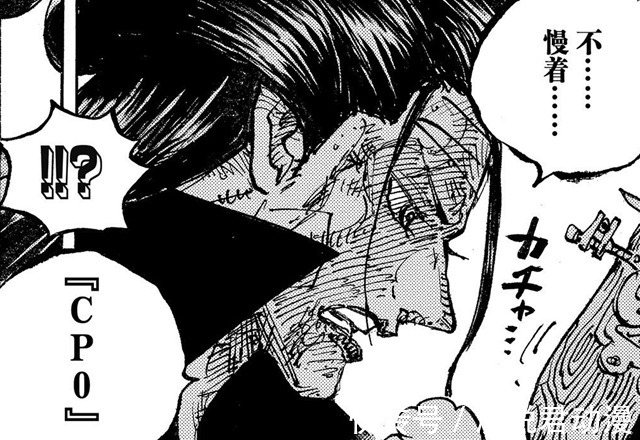 阿普|海贼王1038:CP0为何如此忌惮以藏?白团的队长真这么强吗