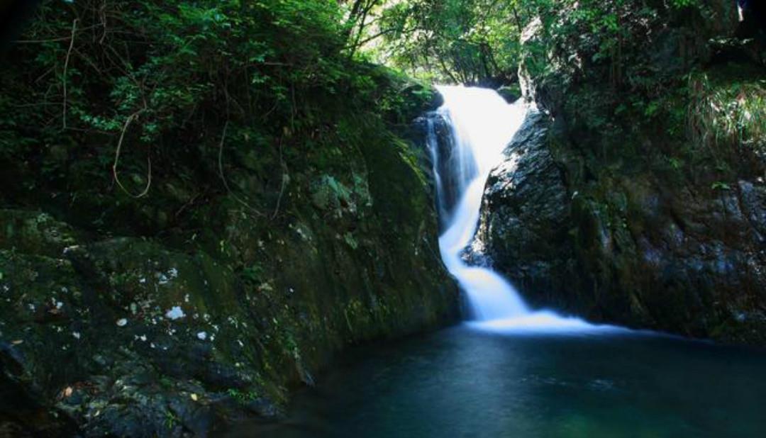 一辈子信佛的王维晚年隐居终南山,写下一首五律,每一句充满禅理