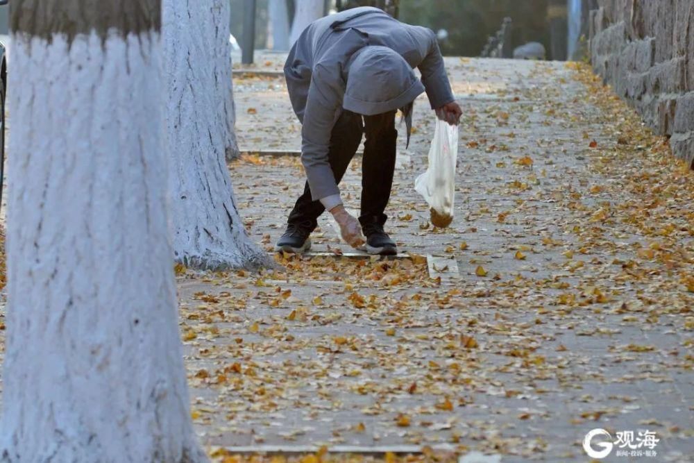 有毒!有毒!有毒!别吃!别吃!别吃!严重会致命!