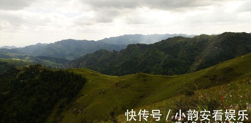 小草原|一条即将火的旅游自驾线路老虎头森林公园，高山草甸加72拐