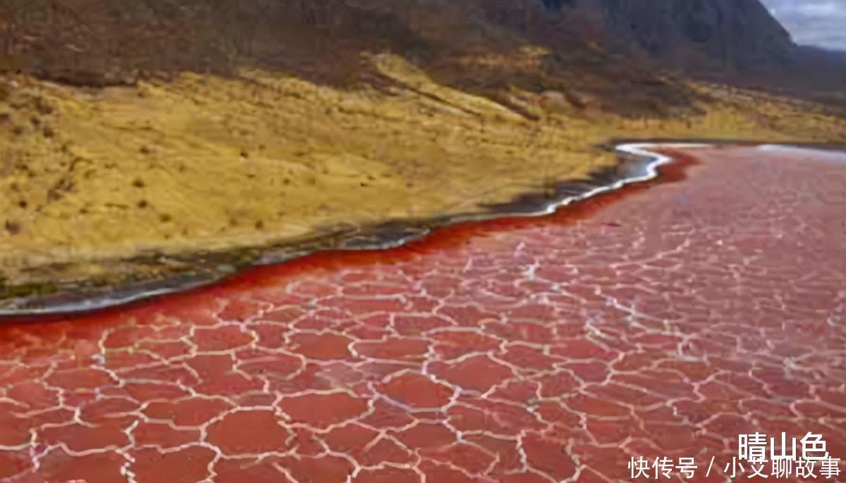 纳特龙湖为什么被称之为“冥河”动物一旦掉入，就会成为化石