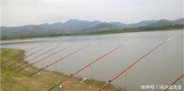 悄悄告诉你,水库钓鲤鱼唯有这钓法“够狠”,钓友:怎么现在才说