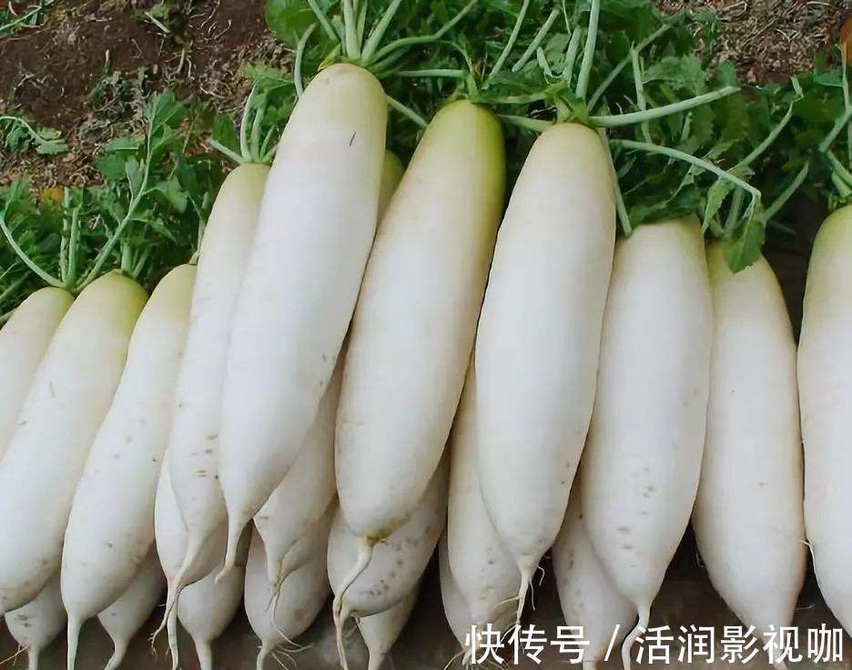 暖胃|白萝卜和此物一起炖,补钙质,长个头,暖胃健脾,早食早受益