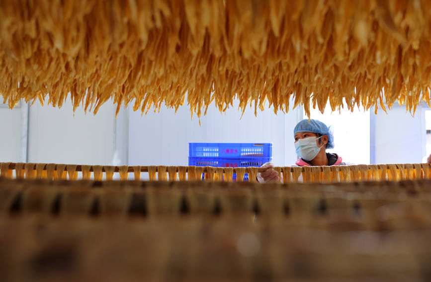 钦州|广西钦州：手工腐竹节前俏销市场