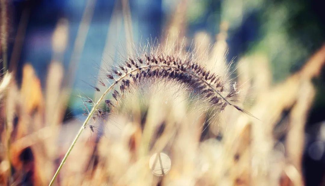 镜头|重拍北京旧日遗存,透过现实的镜头了解逝去的历史——新街口周边