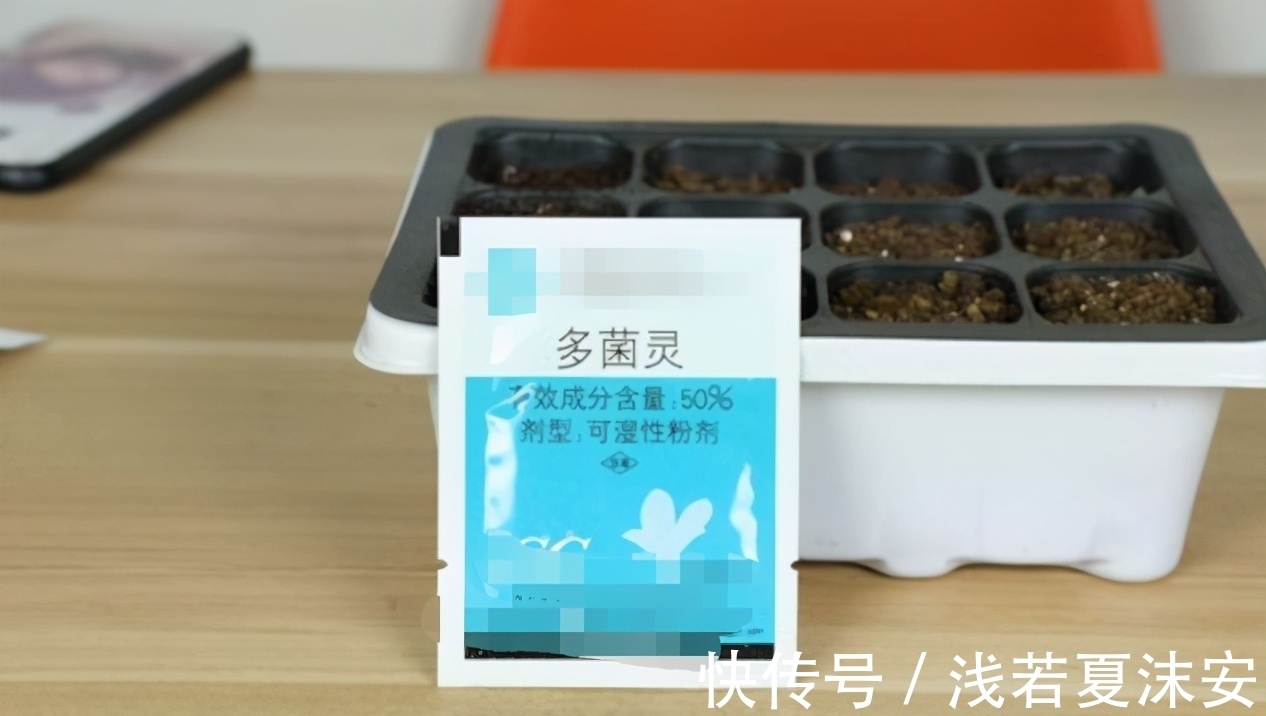 挑战用树桩打造盆景,满足这3要求,个个美如画、增值不少