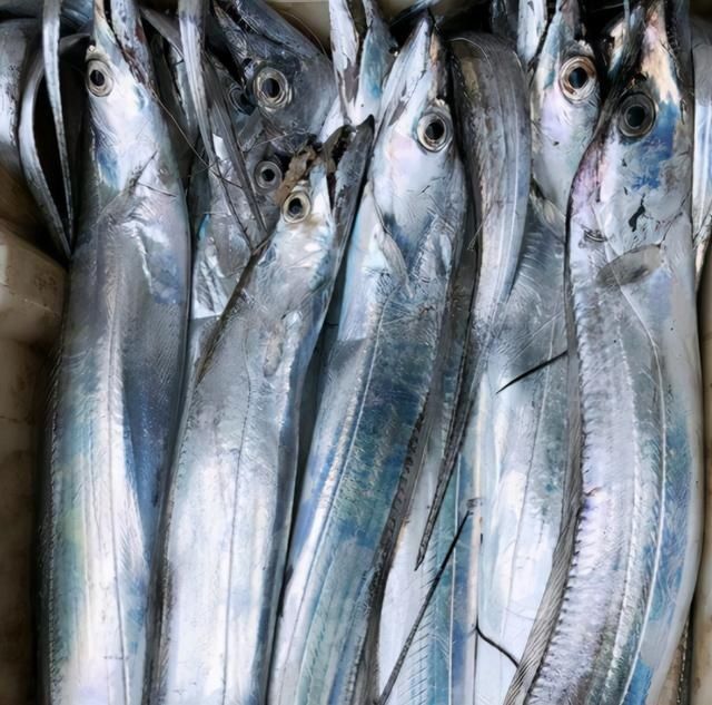 买鱼时,内行人专挑这3种海鱼买,无法人工养殖,肉质鲜嫩还便宜