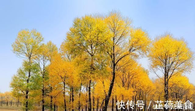 诗歌!张籍的一首乡愁诗,王安石读了称赞不已,如今已被选入语文课本中