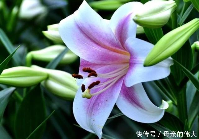 上升|糖尿病的“克星”被找到了，每天坚持吃，或能帮你稳定血糖不上升