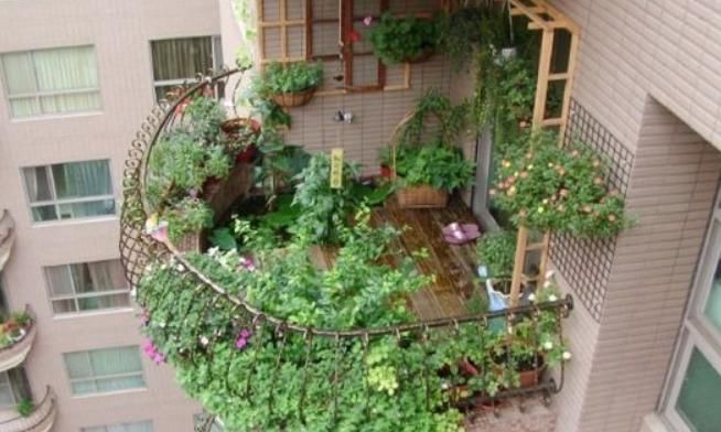 花架|建议阳台不要塞一大堆花盆了瞧瞧下图这布置,高级美观不占地