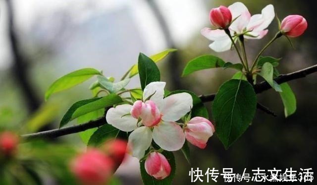 释义&真正厉害的人,为人处世,往往能做到这四点!