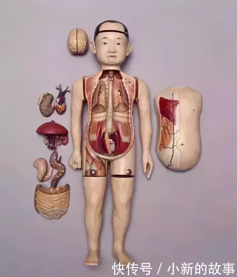 清宫旧藏“西洋文物”,领略异国奇珍!