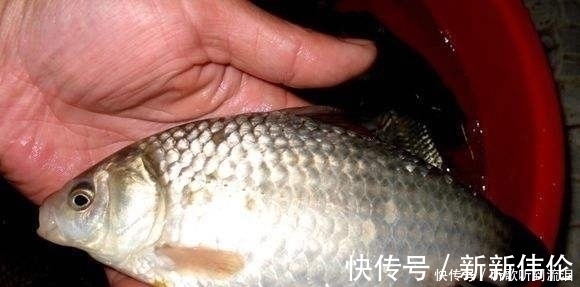 风向阳|冬钓如何选择钓位?老钓友常用这3个“大招”,钓到天黑也不想走