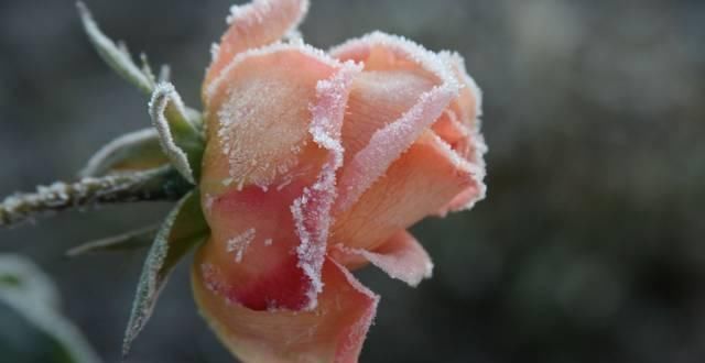  写给|李白少见写给妻子的唐诗，如同家常唠嗑一般，平淡中见真情