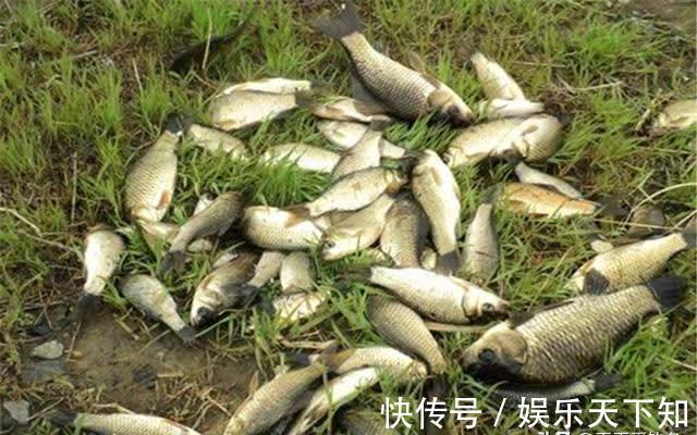 子线的最科学用法:粗细、长短、钩间距,都时刻影响你的中鱼率