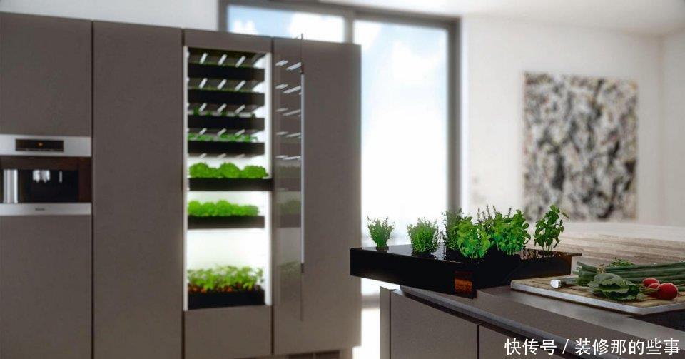 种菜|橱柜里也能种菜?煮泡面直接抓一把青菜下去,将橱柜空1格就行!