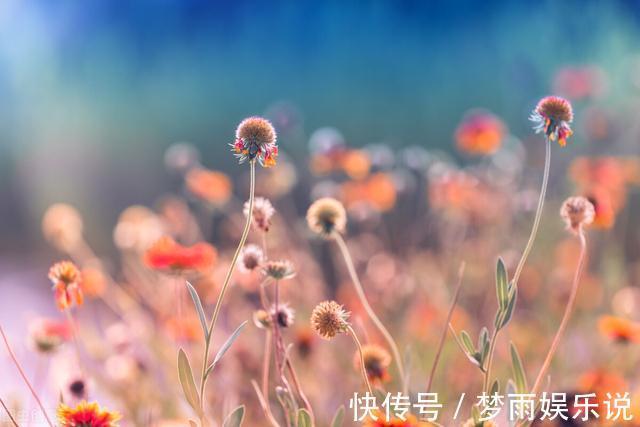 老年人|74岁老人述言：独处、不合群是老年人能够长寿的关键