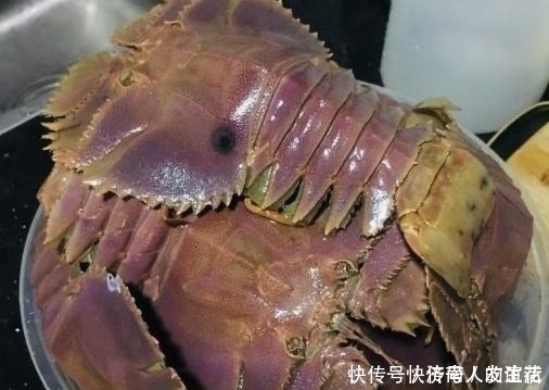 小七|朋友寄一箱“海鲜”,误以为是虾,本想扔掉,掰开后“惊喜满满”