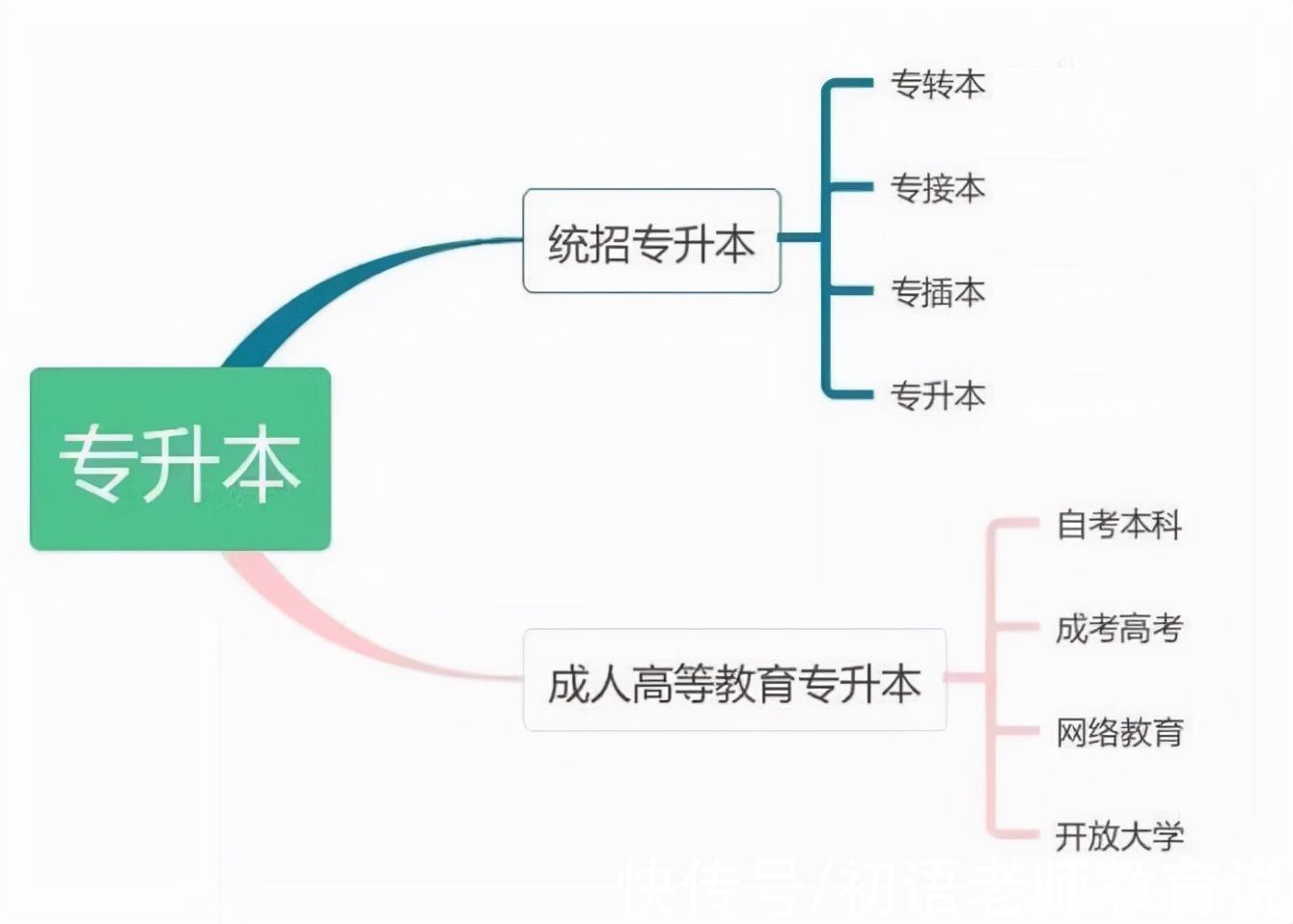 专科生们|2022年，这类专科生可免试入读本科，符合条件的专科生别错过