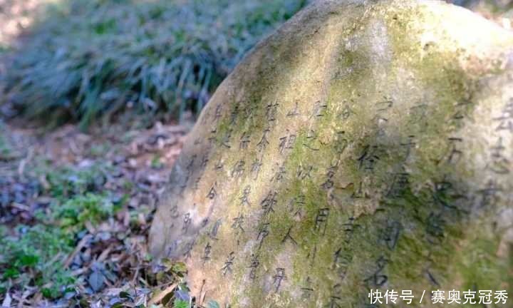 踏青径山寺，春光与茶都很好