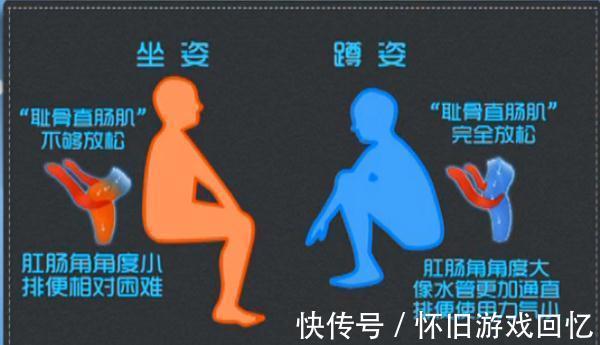 蹲坑|卫生间到底装蹲坑还是马桶好？原来它那么脏，幸好没选错！