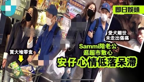 郑秀文许志安经历伤痛后更恩爱，甜蜜挽手逛超市，助男方走出爱犬离世阴霾