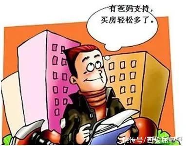 借款|父母转给儿子三百多万买房，到底是赠与还是借款？