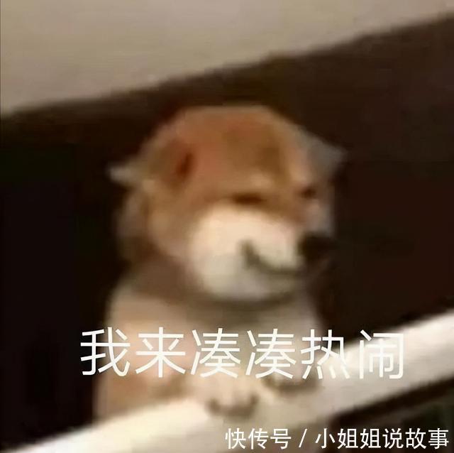 |搞笑表情包更新:再坚持坚持,一辈子很快就过去了