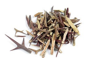 安徽中草药|一根皂角刺,治病大功效!4种妙用法,4大疾病,百治百效!