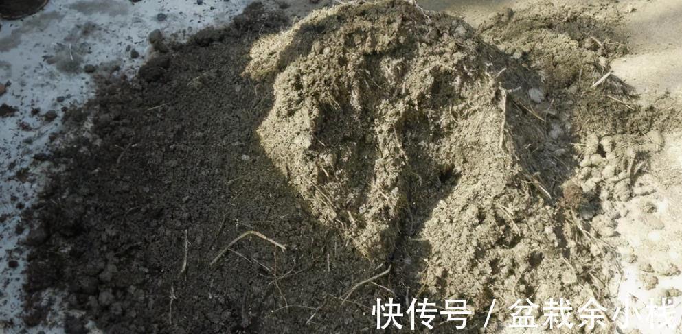 花卉们|养花选土、配土有门道，别再小看了！