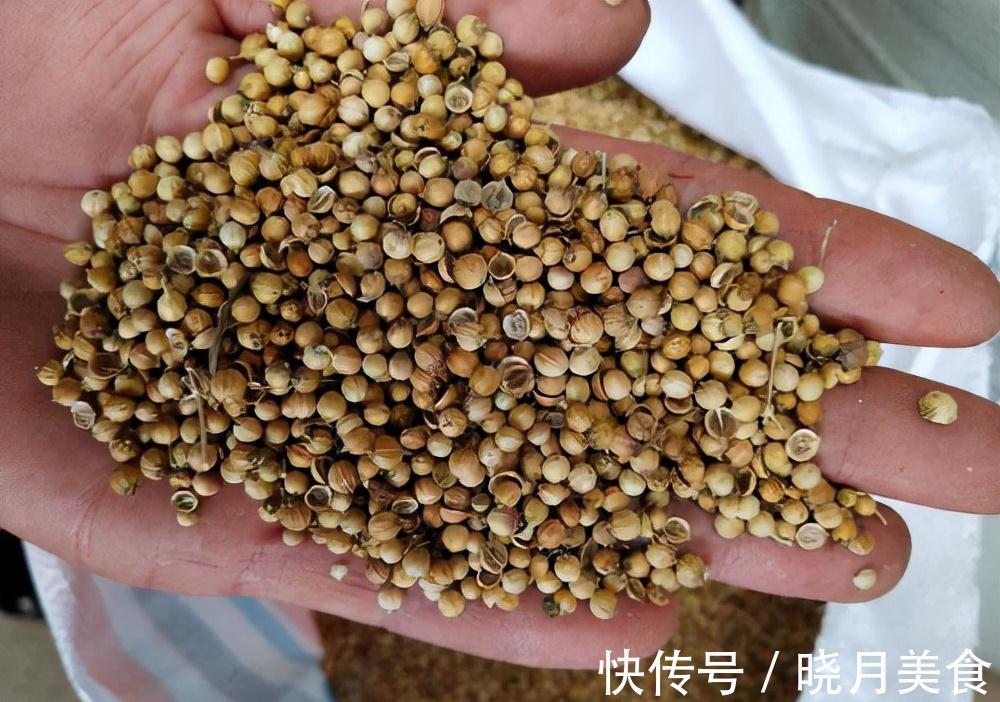 7种“蔬菜”冬天种,0度冻不死,吃一茬冒一茬,连续吃半年