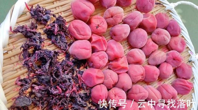 紫苏梅|冬季别只吃肉,这水果也可以放开了吃,富含维C,营养均衡特开胃!