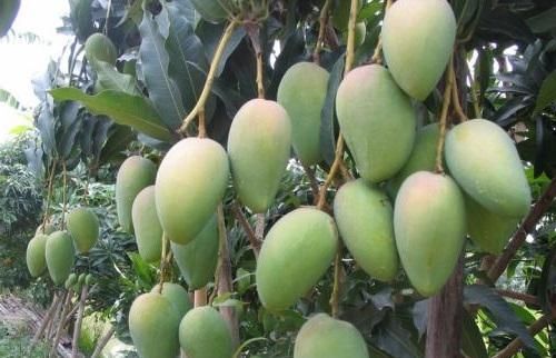 夏天要多吃以下3种水果，尤其最后1种，能赶走湿气，早知早好！