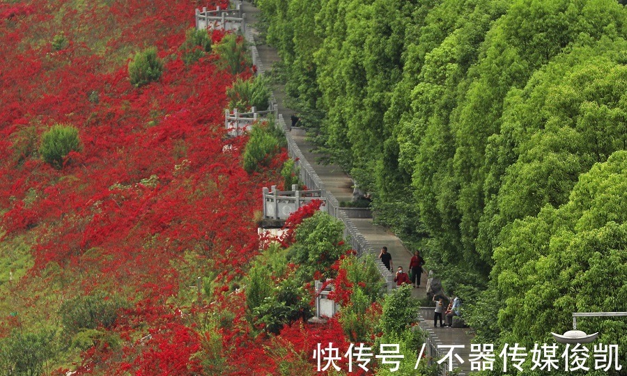 灯饰|彭水：一年四季美如画 两江四岸起风景