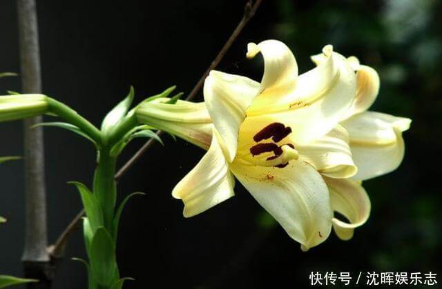 保持沉默|这三种事,烂在肚子里也不能与别人交流,避免惹祸