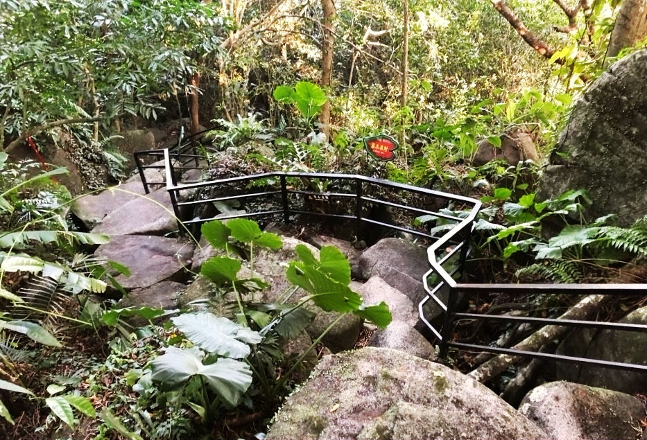 休闲|雨林观光、文化风情、休闲体验、健康养生——游呀诺达雨林文化旅游区