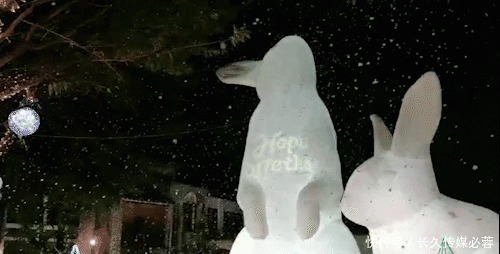 岭南天地|地铁直达看光影艺术,“神秘发光巨兔”华南首展等你来撸兔!