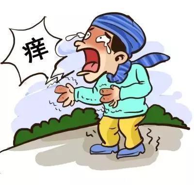 皮肤|大人或孩子皮肤过敏很痒,可以试试这个物理办法!