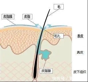 护肤品|护肤品选不对，用多少都白费！3步教你正确选择护肤品！