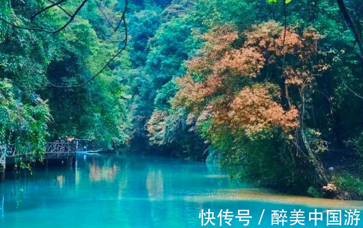 瀑布|探访融水双龙沟，隐藏在大山里的美景，藤奇百绕，瀑飞涓秀