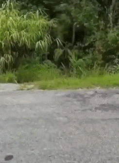 |搞笑GIF:一张图告诉你 全班就我一个男生有多开心