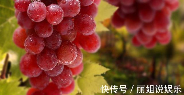 十字花科|葡萄是甲状腺结节的“发物”?医生:想要呵护甲状腺,3物请拉黑