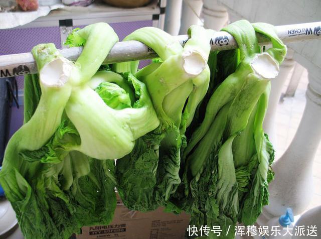 腌酸菜,放盐是大错!教你老方法,3天腌好,1年不坏,比买的香